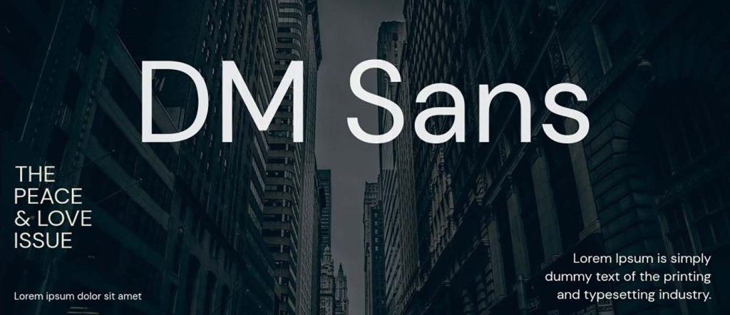  DM Sans