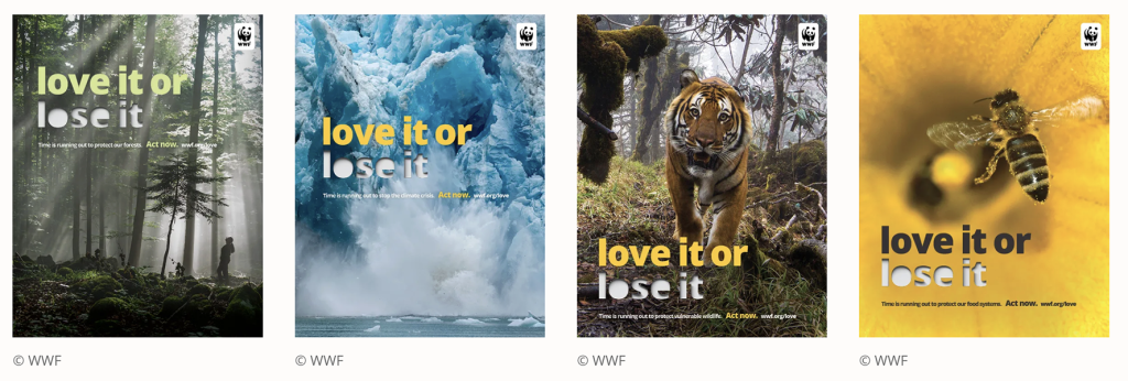 WWF Love It or Lose It