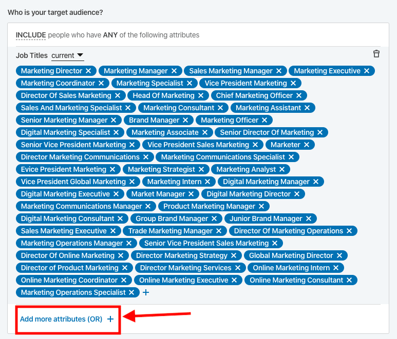 Audience attributes on LinkedIn