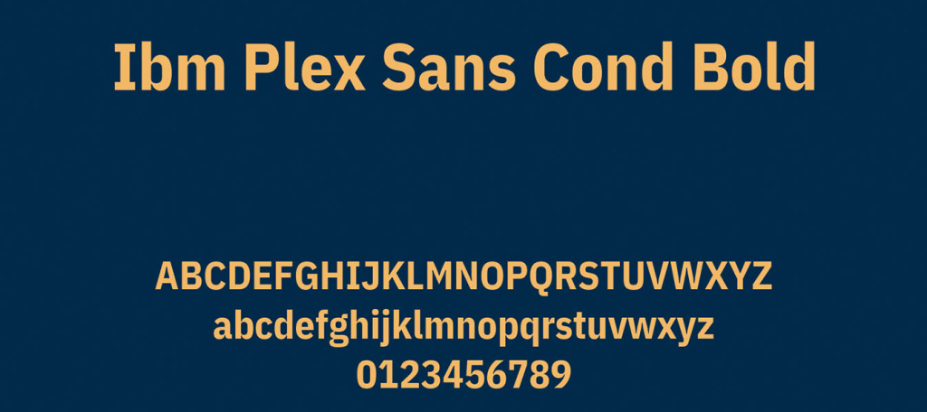 IBM Plex Sans